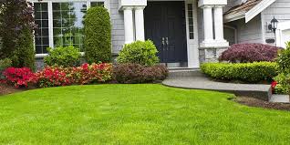 Lawn care service in Albany NY
